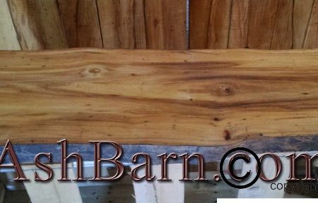 Live Edge Slabs