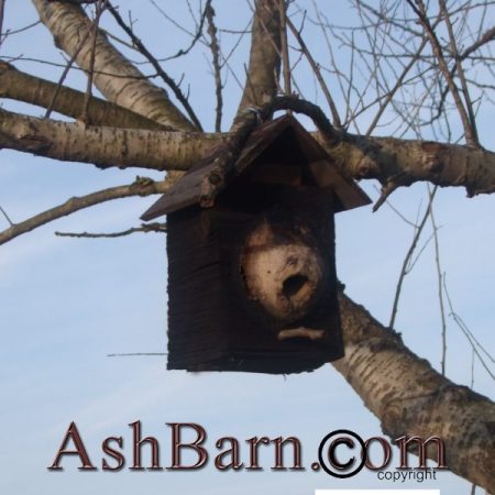 Bird House, Dont make your birds live in Little Pink Houses.