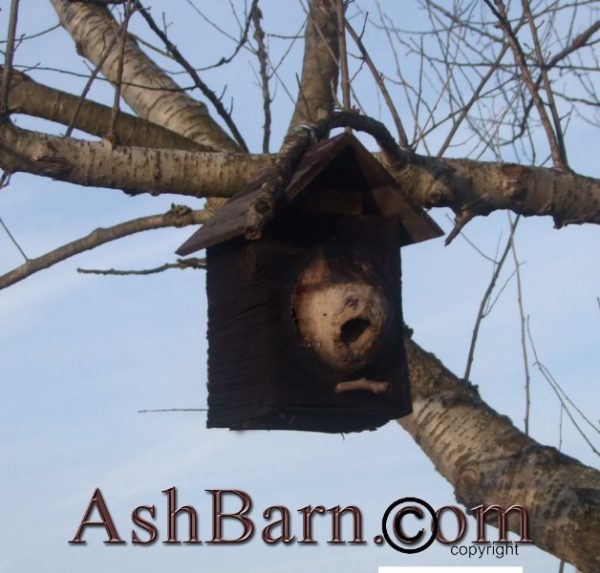 Bird House, Dont make your birds live in Little Pink Houses.
