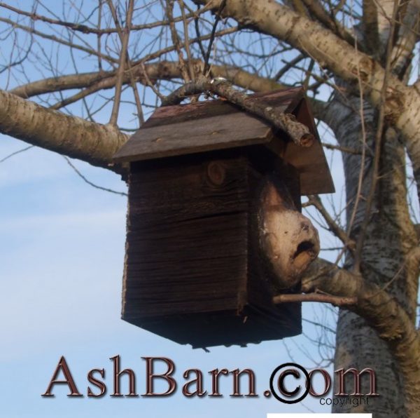 Bird House, Dont make your birds live in Little Pink Houses. - Image 2