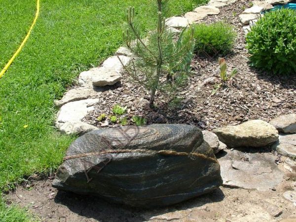 Rocks, Bolders, Fieldstone, Fossils, Geodes - Image 2