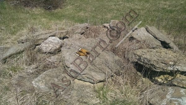 Rocks, Bolders, Fieldstone, Fossils, Geodes - Image 3