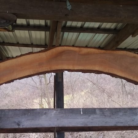Black Walnut Arch Sign Slab