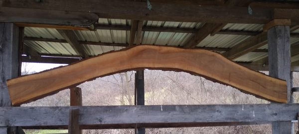 Black Walnut Arch Sign Slab