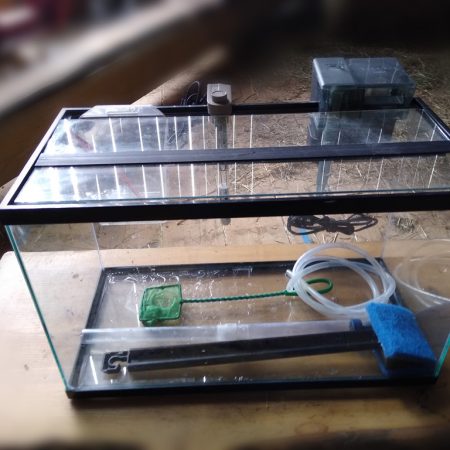 Aquarium Fish Tank