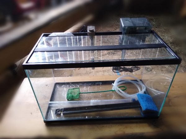 Aquarium Fish Tank