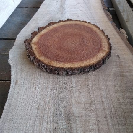 Wood Slices