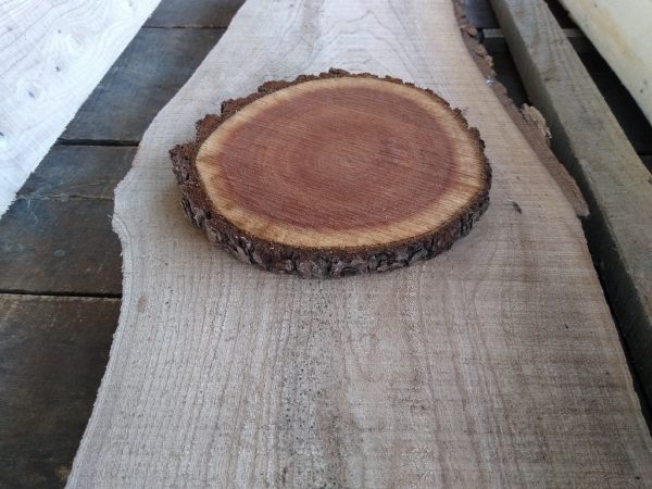 Wood Slices