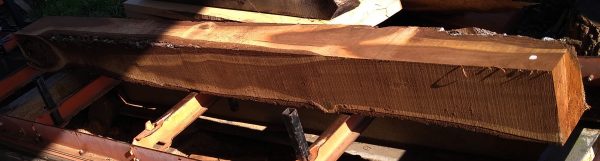 Walnut Rustic Beam 7in by 8in by 8ft - Image 2