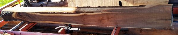 Walnut Rustic Beam 7in by 8in by 8ft